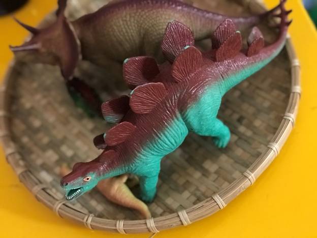 Step by step guide to make dinosaur fossil