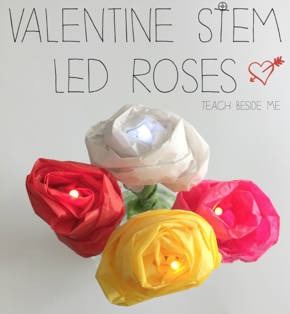 valentine's day: STEM LED ROSES